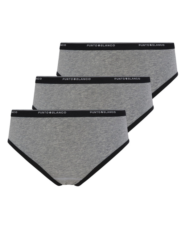 Pack 3 Brief, Basix Premium Color Gris - 1