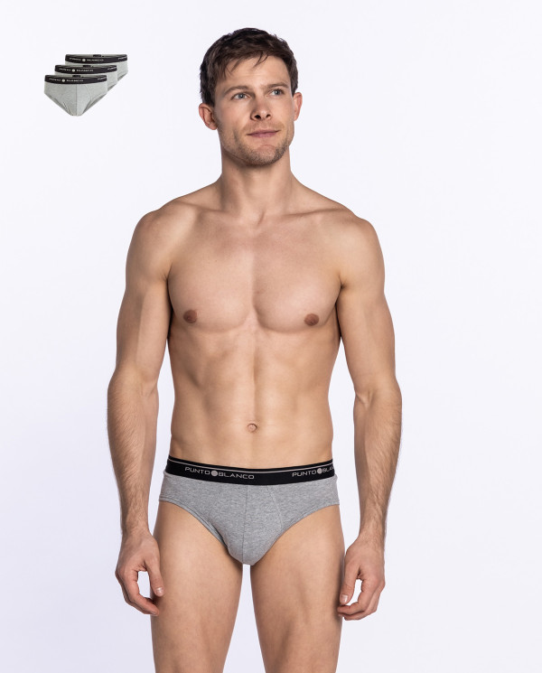 Pack of 3 Briefs, Basix Color Grey - 1