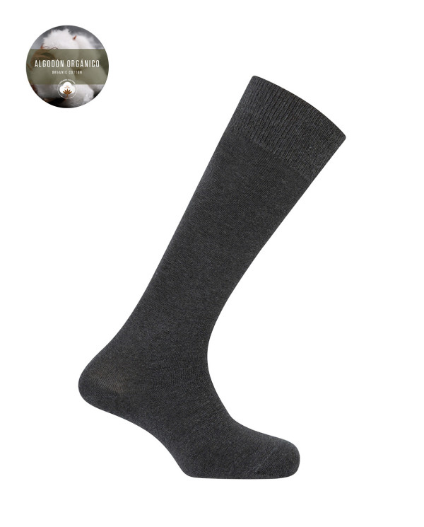 Chaussettes en coton bio - unies Couleur Gris fonce - 1